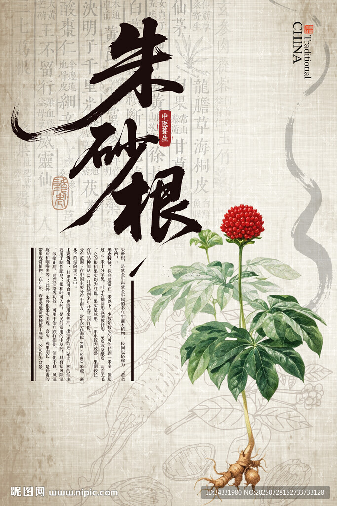 朱砂根