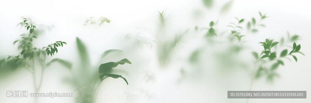 霧氣磨砂膜效果綠植貼圖