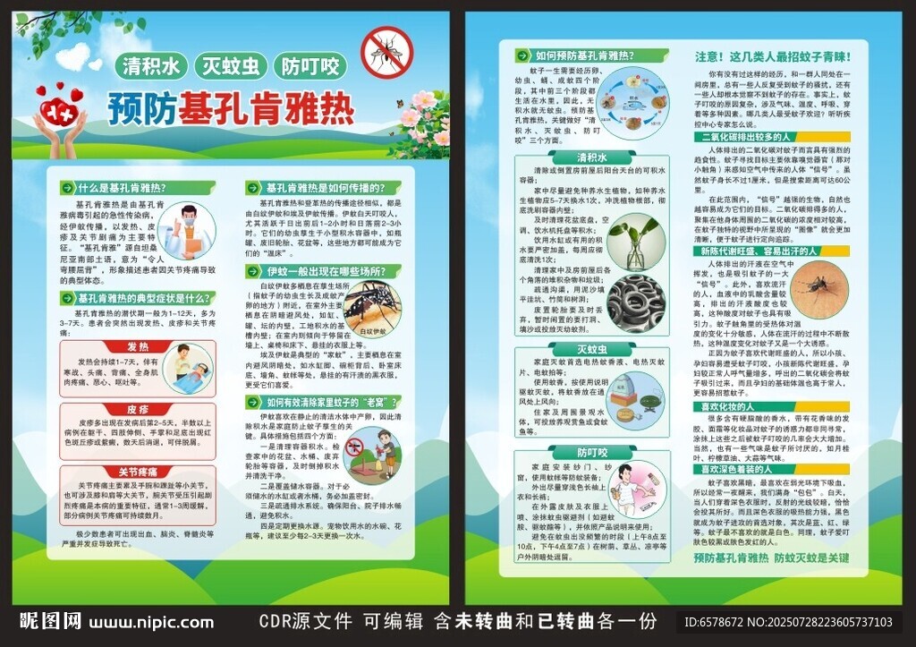 基孔肯雅熱宣傳單