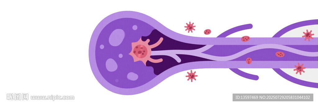 神經(jīng)細(xì)胞圖示