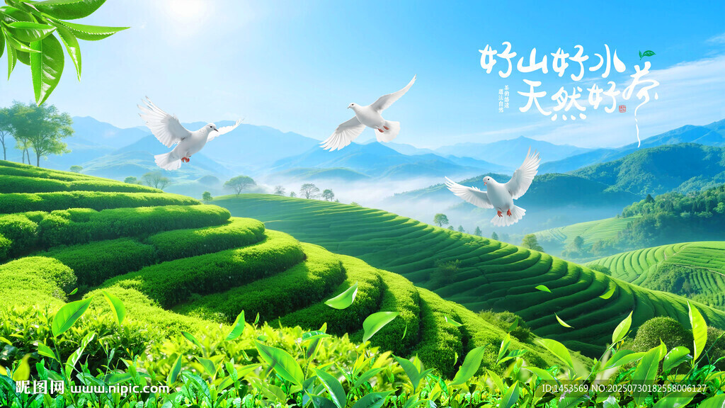 茶園