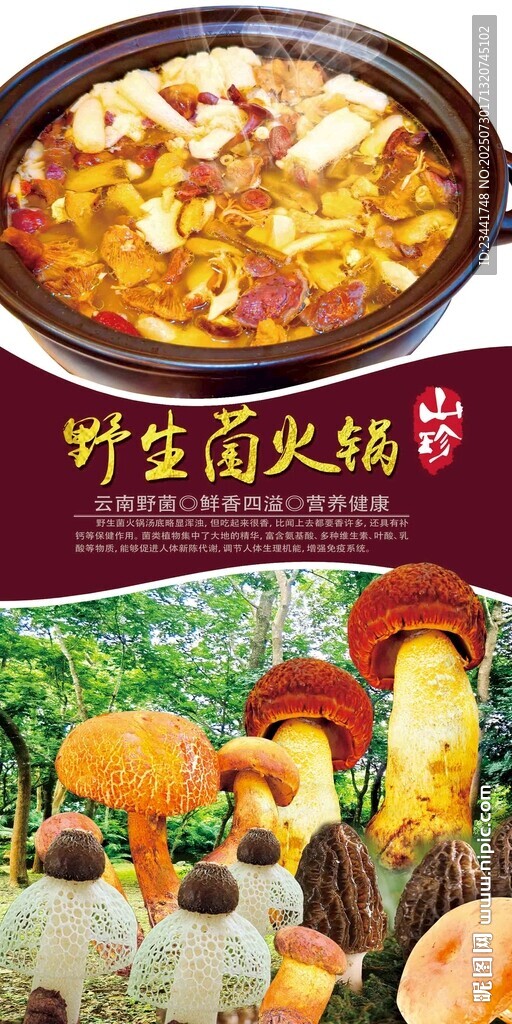 野生菌火鍋