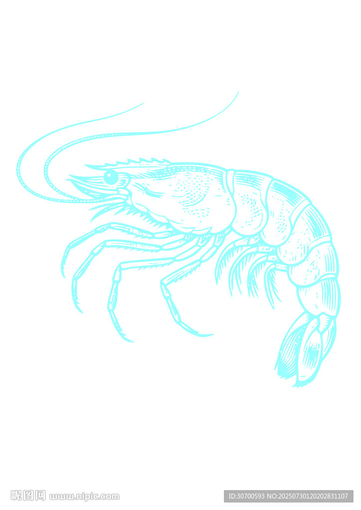 線描蝦