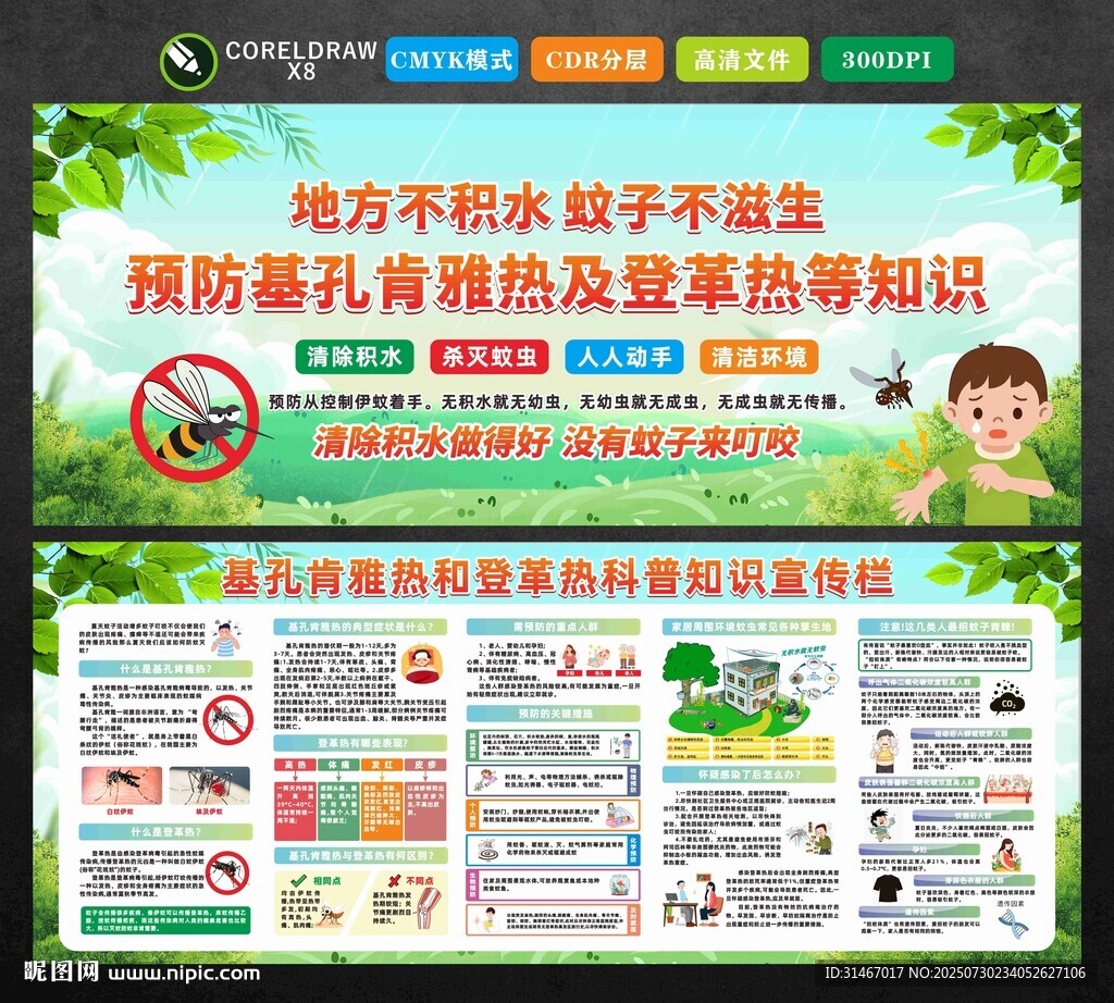 防蚊滅蚊知識(shí)