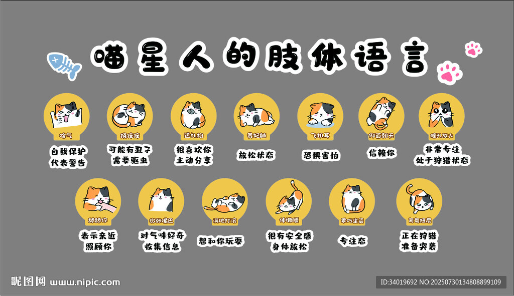 卡通寵物的趣味語言