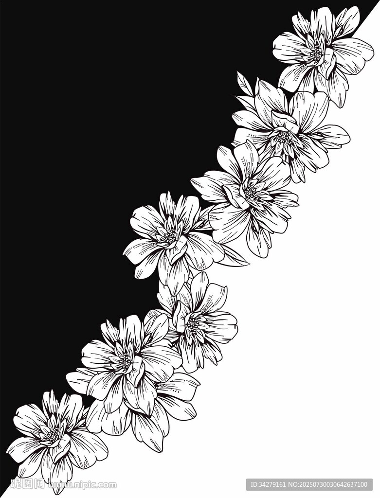 定位黑白花卉