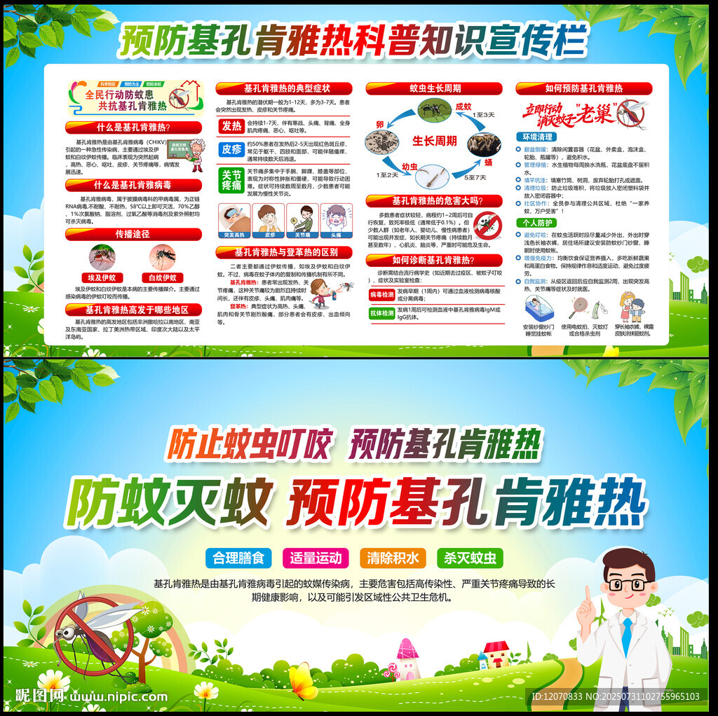 基孔肯雅熱 