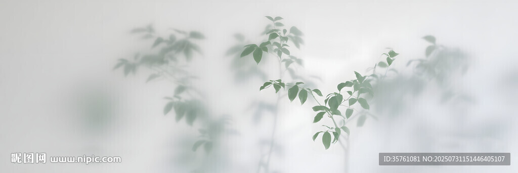 霧氣磨砂膜效果綠植貼圖