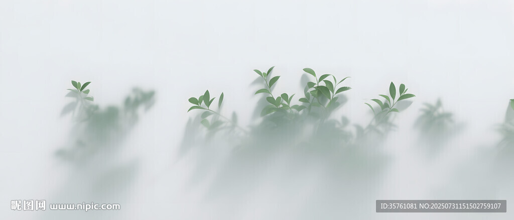 霧氣磨砂膜效果綠植貼圖
