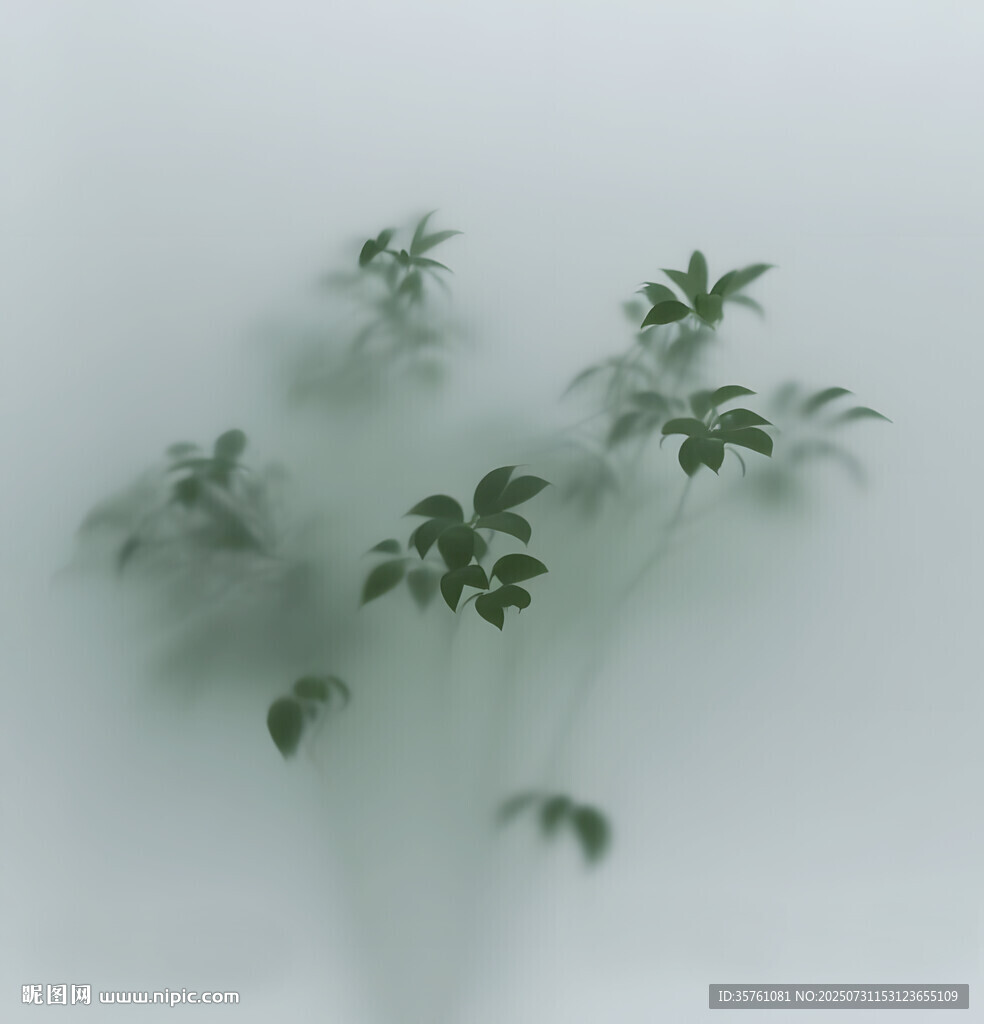 霧氣磨砂膜效果綠植貼圖