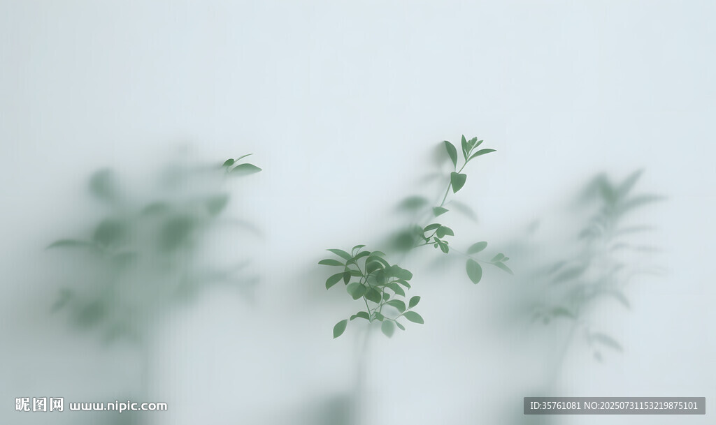 霧氣磨砂膜效果綠植貼圖