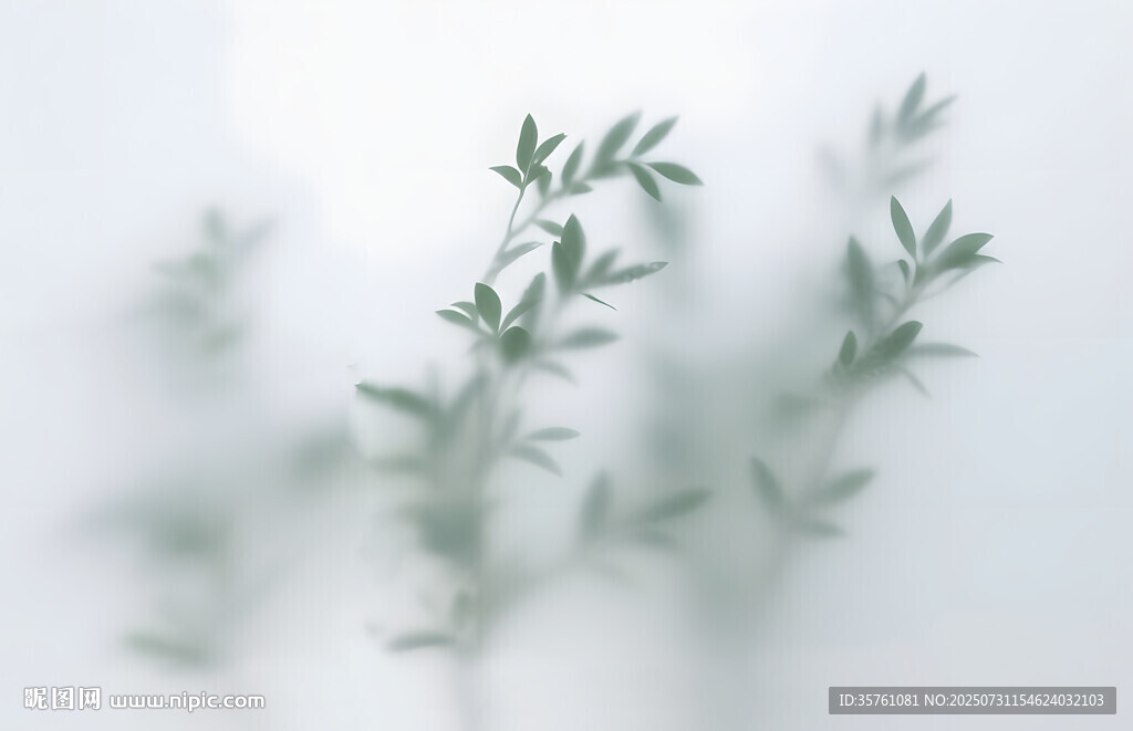 霧氣磨砂膜效果綠植貼圖