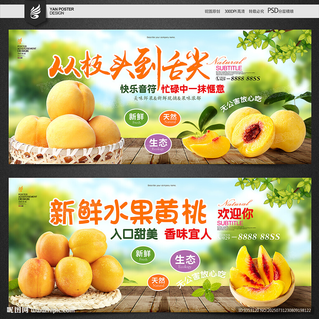 黃桃 桃子 油桃