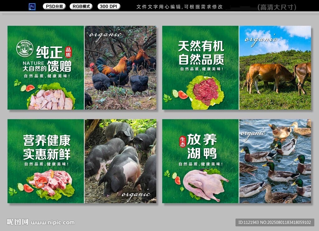 家禽生鮮