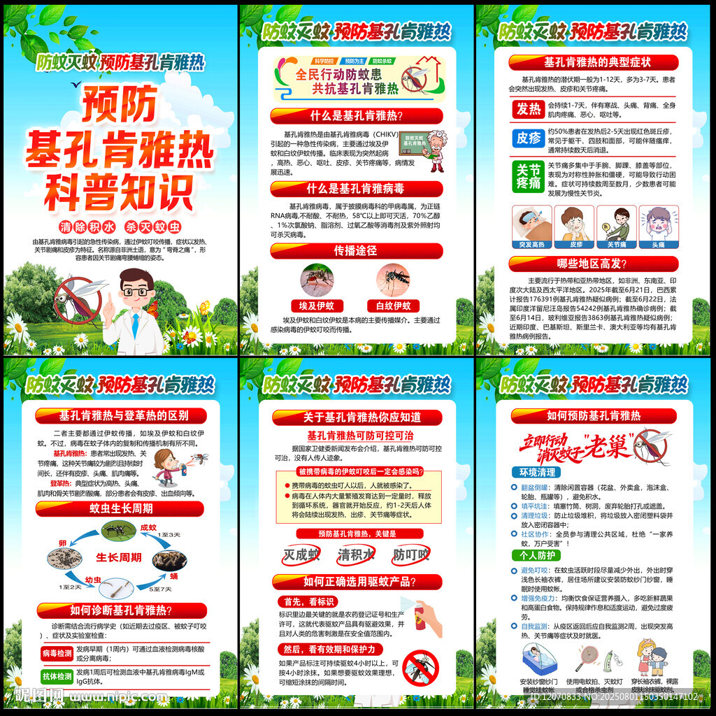防治基孔肯雅熱