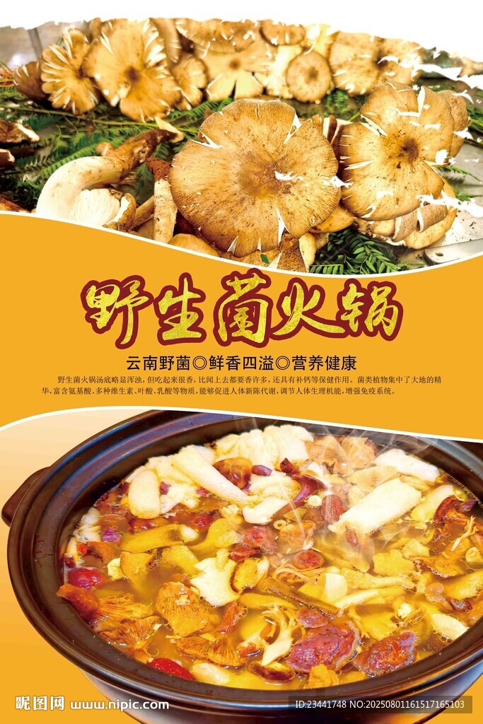 野生菌火鍋