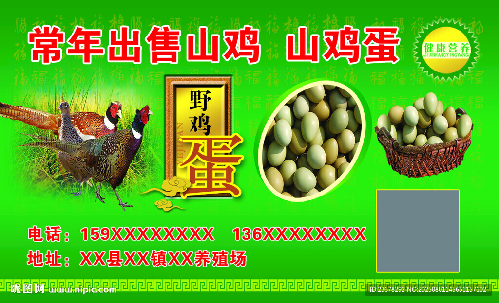 常年出售山雞蛋