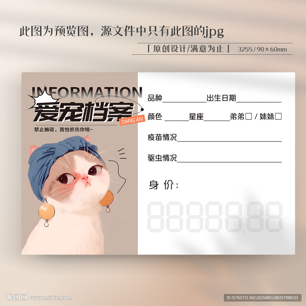 卡通貓咪寵物信息卡片