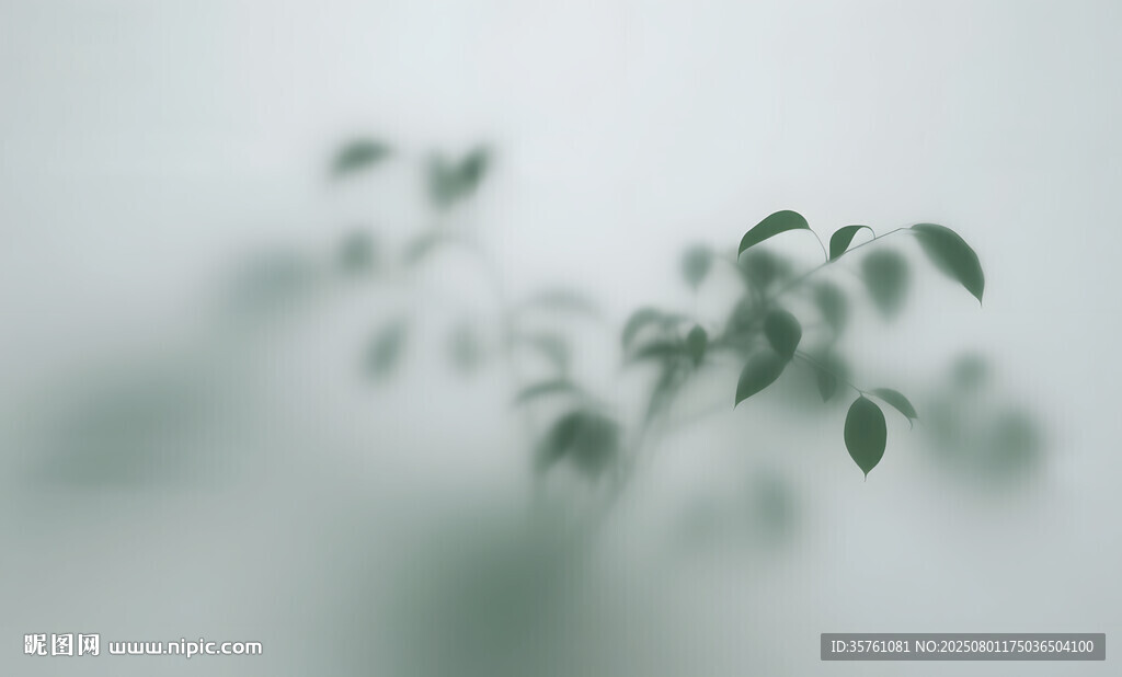 霧氣磨砂膜效果綠植貼圖