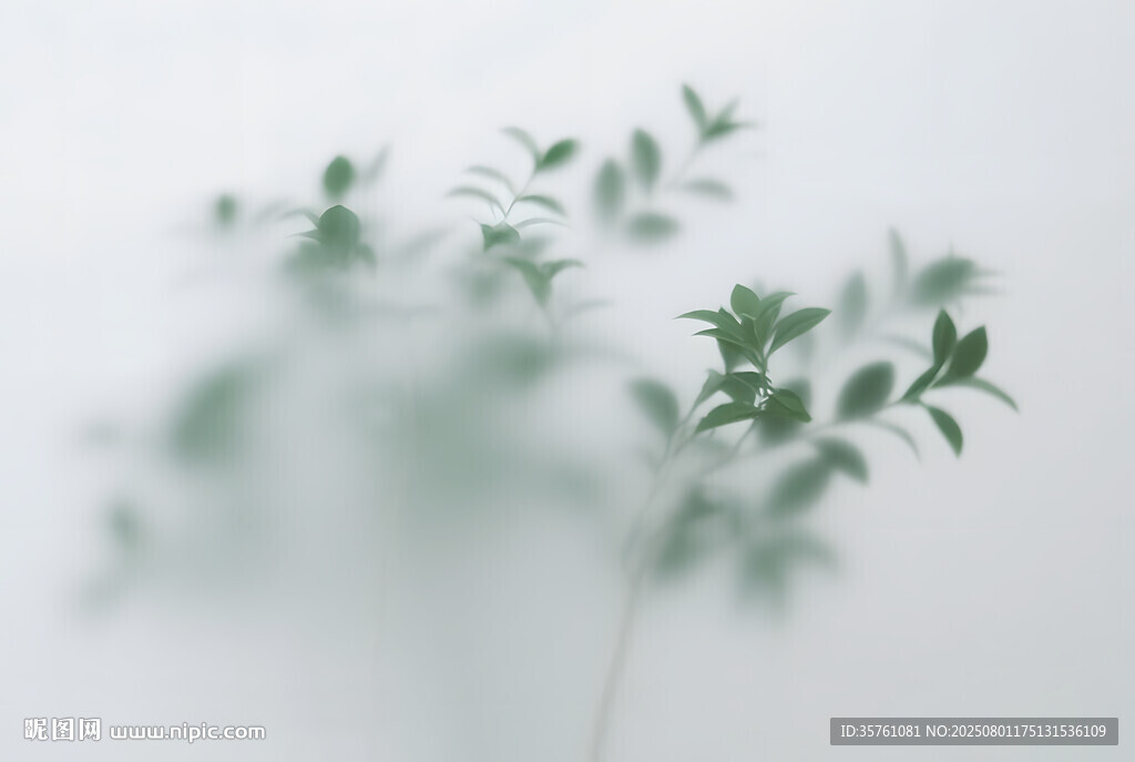 霧氣磨砂膜效果綠植貼圖