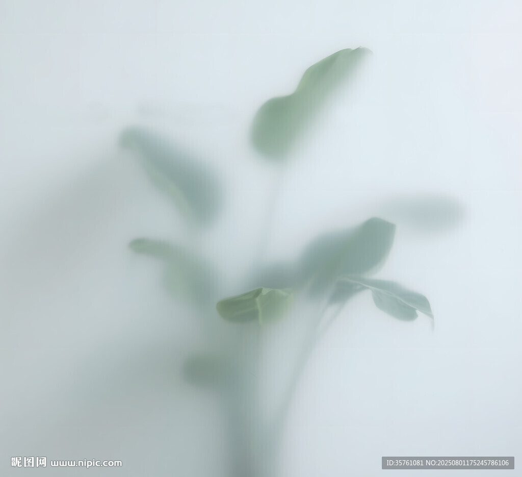 霧氣磨砂膜效果綠植貼圖