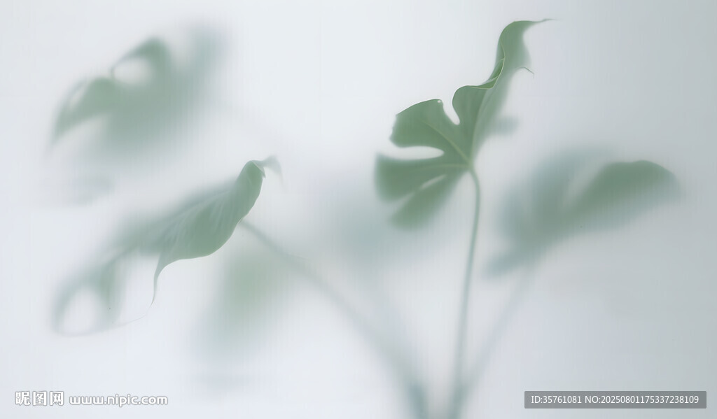 霧氣磨砂膜效果綠植貼圖