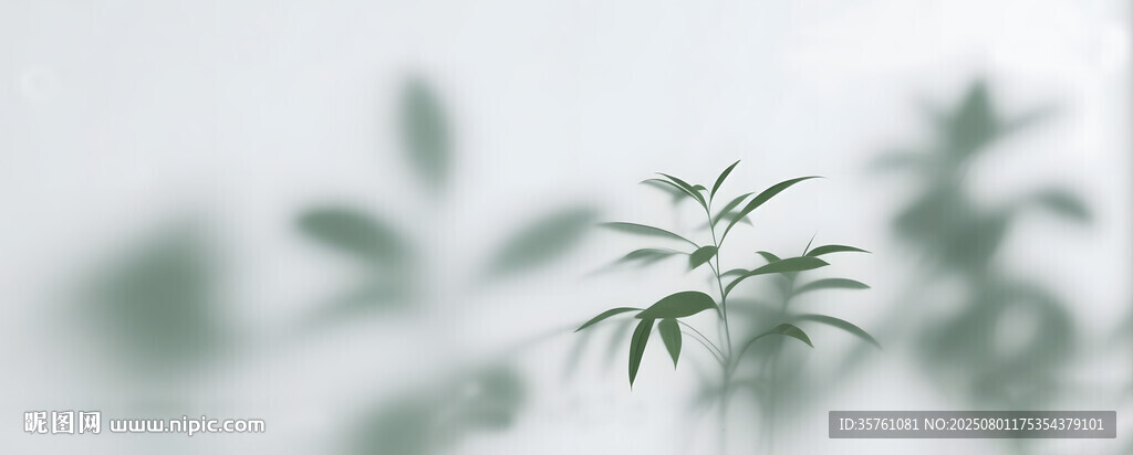 霧氣磨砂膜效果綠植貼圖