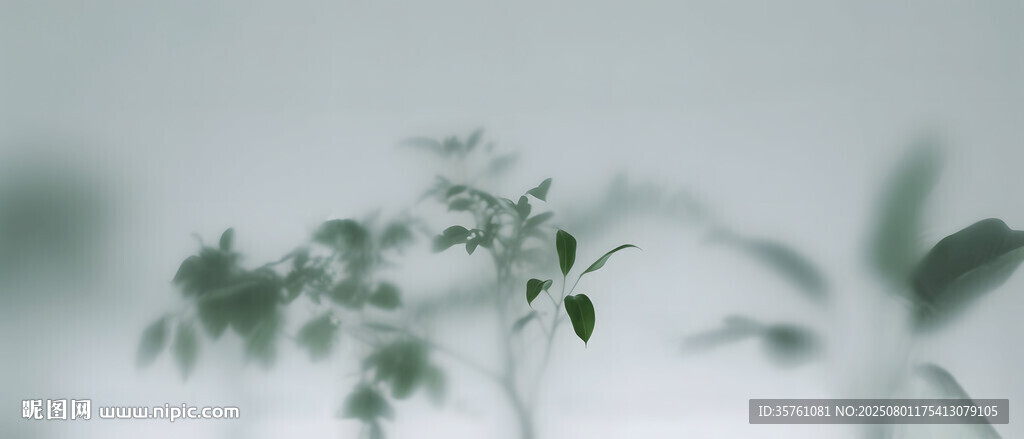 霧氣磨砂膜效果綠植貼圖