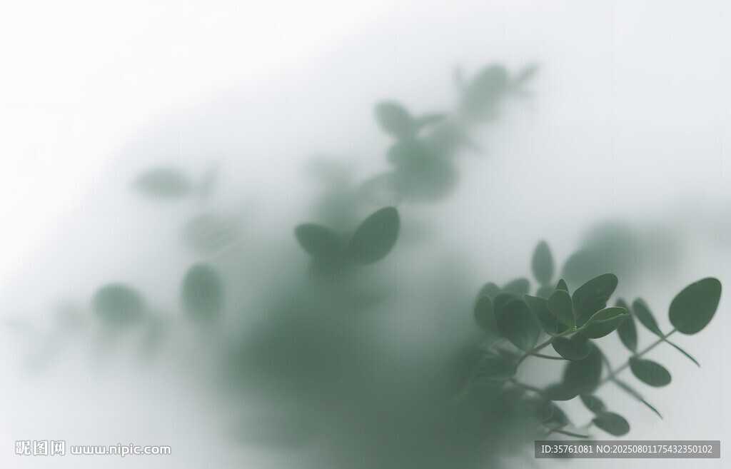 霧氣磨砂膜效果綠植貼圖