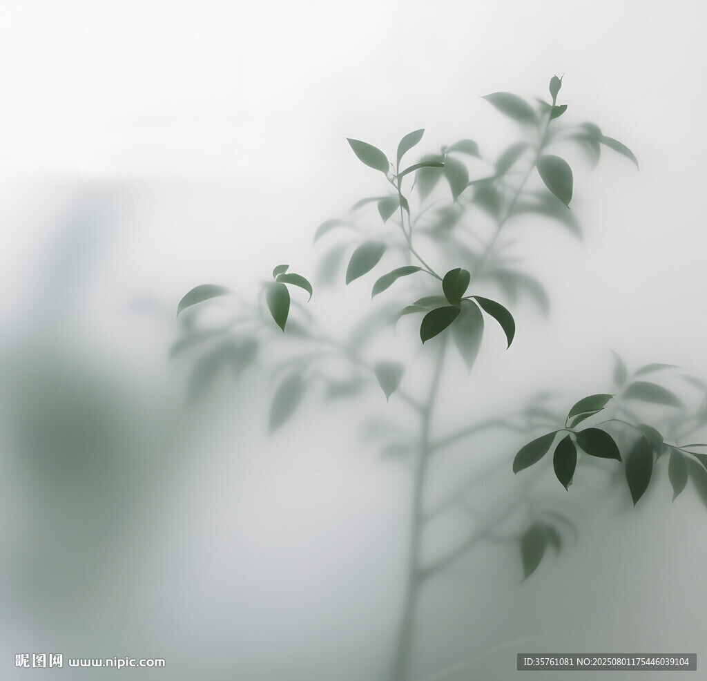 霧氣磨砂膜效果綠植貼圖