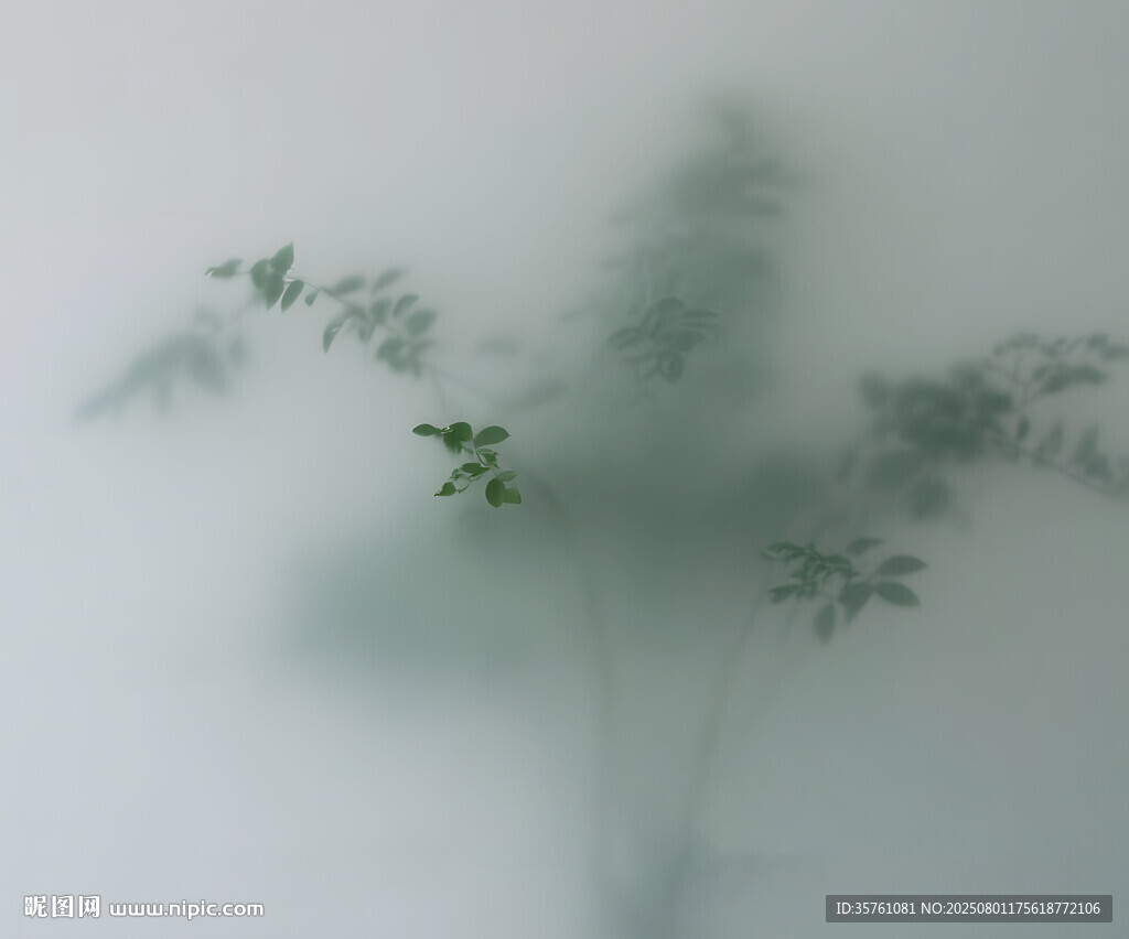 霧氣磨砂膜效果綠植貼圖