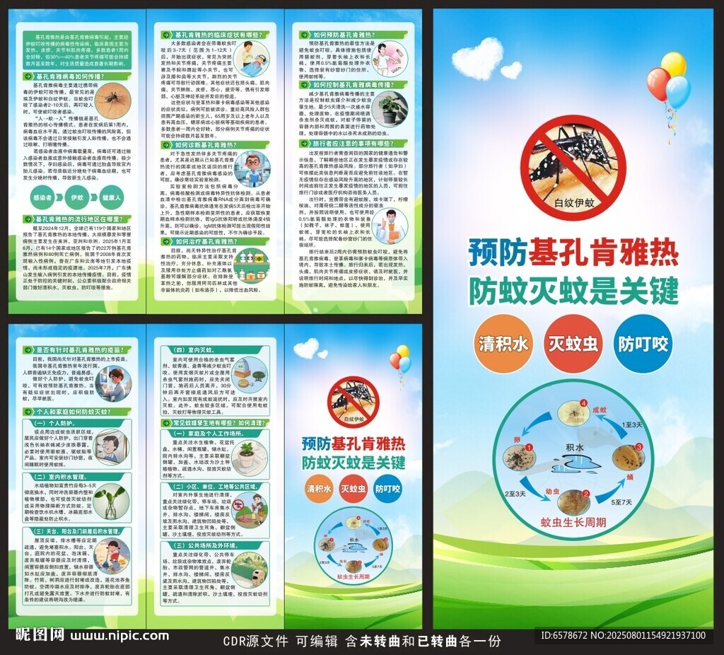 基孔肯雅熱三折頁