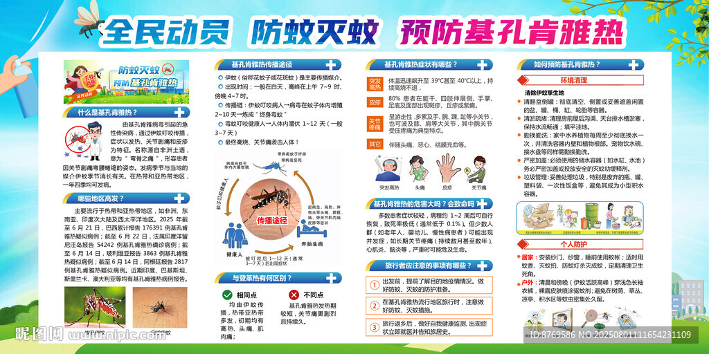 基孔肯雅熱圖片