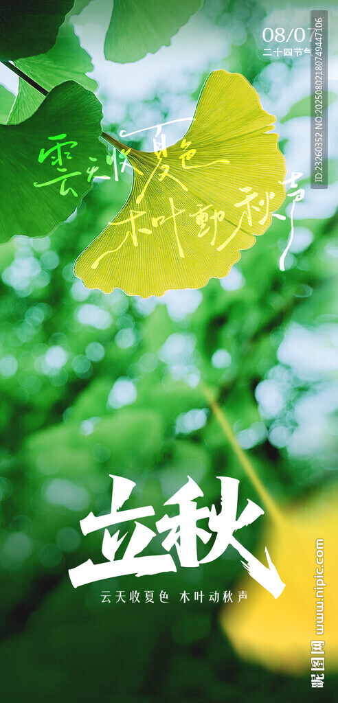 立秋時(shí)節(jié)綠意盎然景象