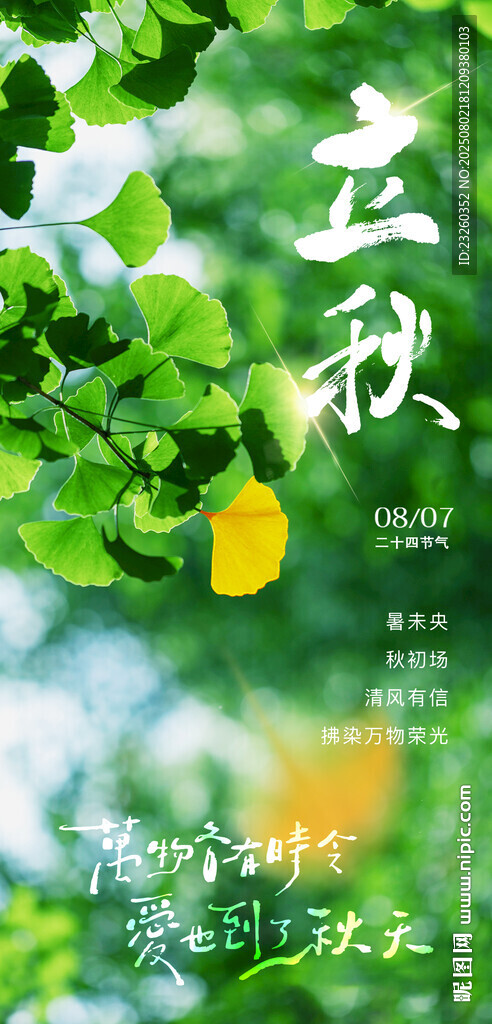 立秋綠色立秋海報(bào)