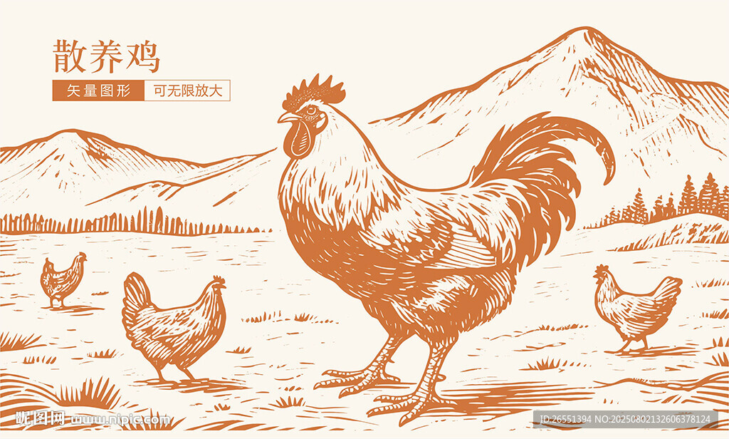 土雞插畫