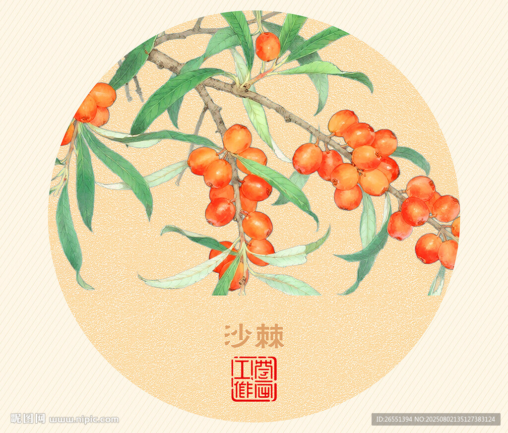 沙棘