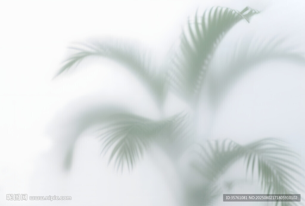 霧氣磨砂膜效果綠植貼圖