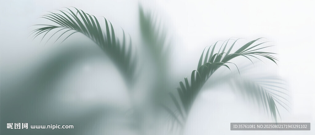 霧氣磨砂膜效果綠植貼圖
