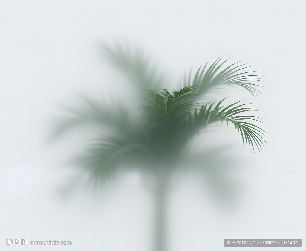 霧氣磨砂膜效果綠植貼圖
