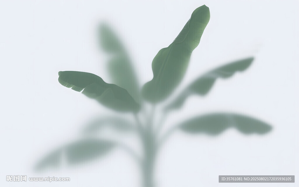 霧氣磨砂膜效果綠植貼圖