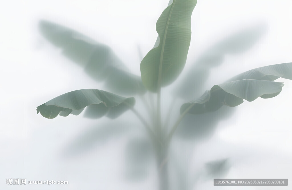 霧氣磨砂膜效果綠植貼圖
