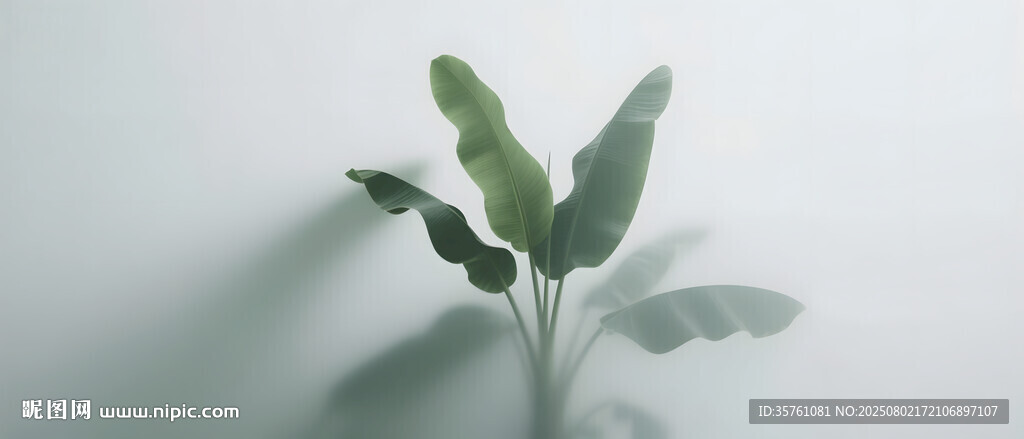 霧氣磨砂膜效果綠植貼圖