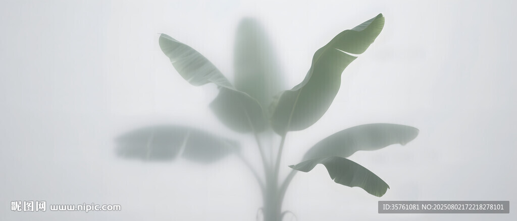 霧氣磨砂膜效果綠植貼圖