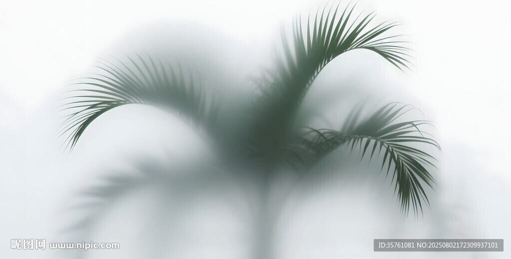 霧氣磨砂膜效果綠植貼圖