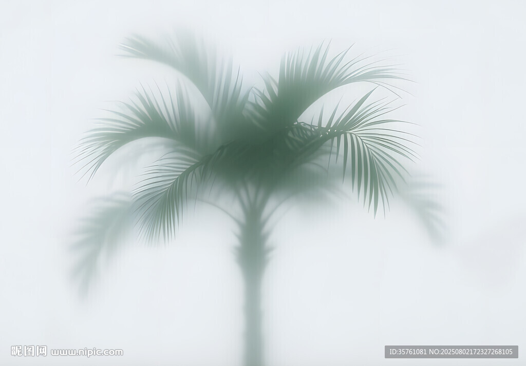 霧氣磨砂膜效果綠植貼圖