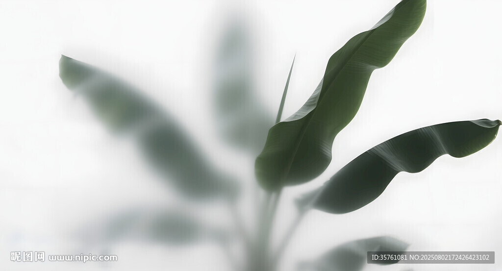 霧氣磨砂膜效果綠植貼圖