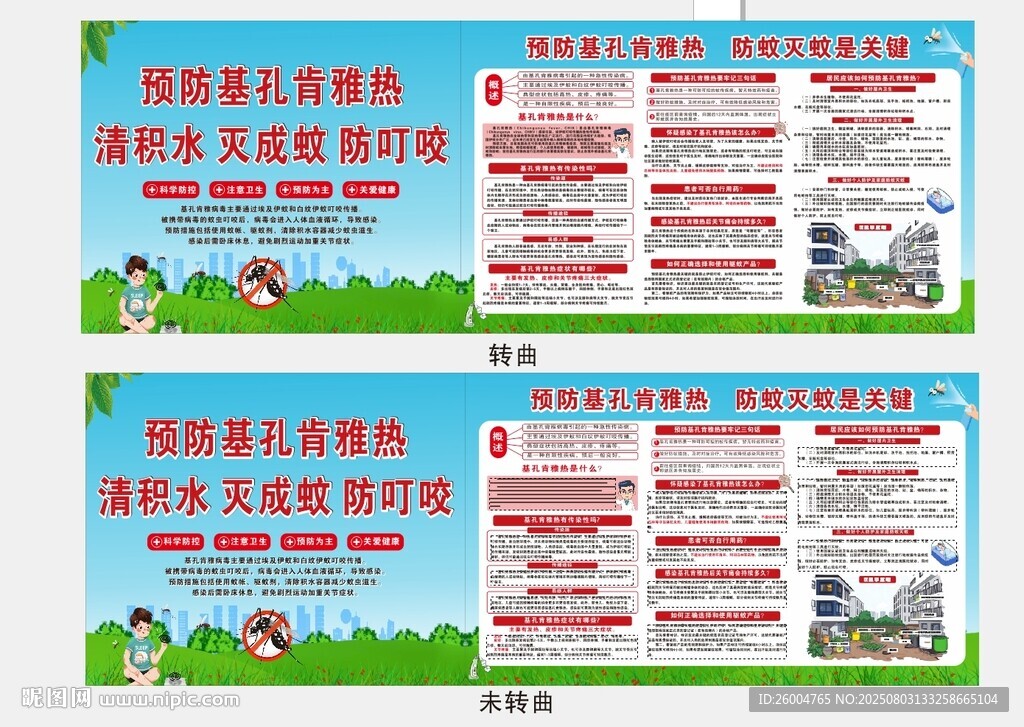 基孔肯雅熱圖片
