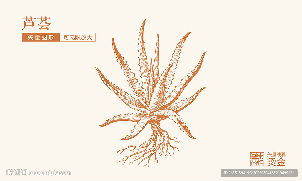 蘆薈