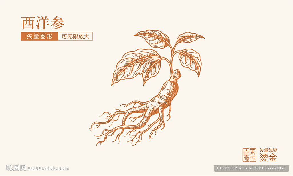 西洋參